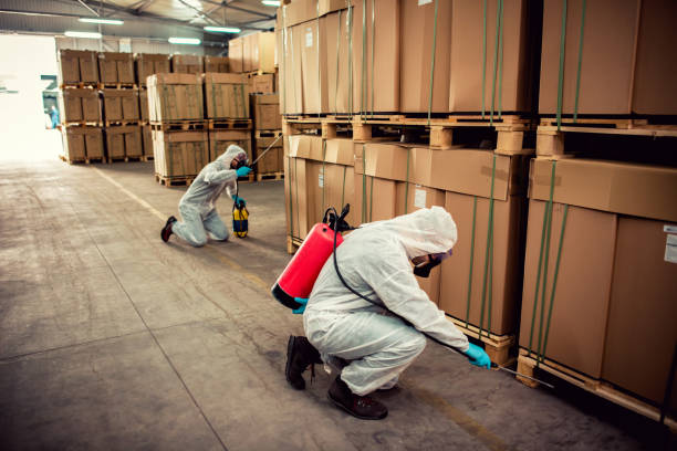 Best Emergency Pest Control  in Tuttle, OK