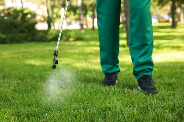 Best Pest Inspection Near Me  in Tuttle, OK