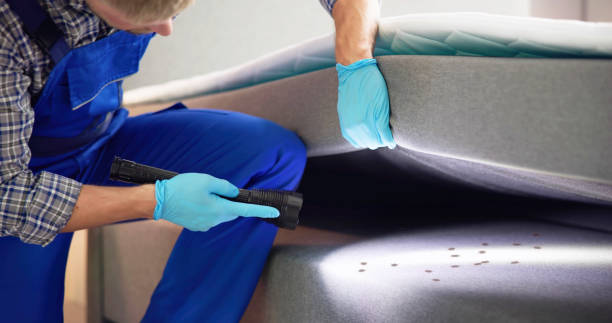 Best Ant Control Services  in Tuttle, OK