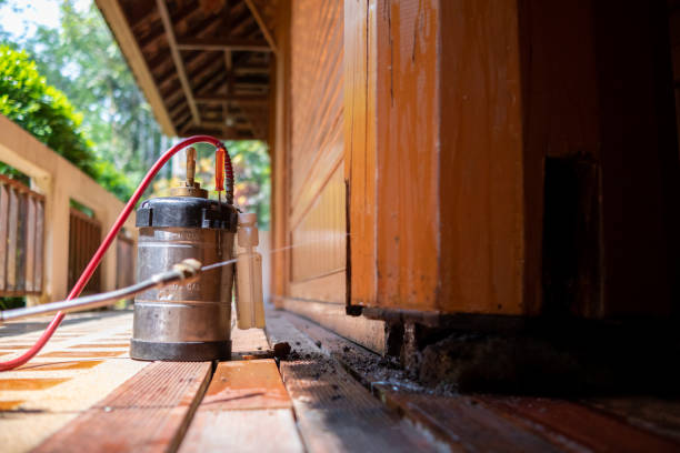 Best Pest Prevention Services  in Tuttle, OK