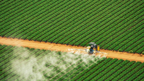 Pest Control Cost in Tuttle, OK