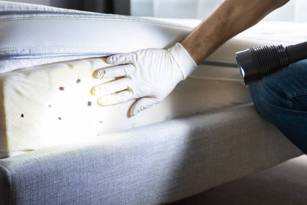 Best Affordable Pest Control Services  in Tuttle, OK