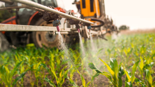Best Pest Control Cost  in Tuttle, OK